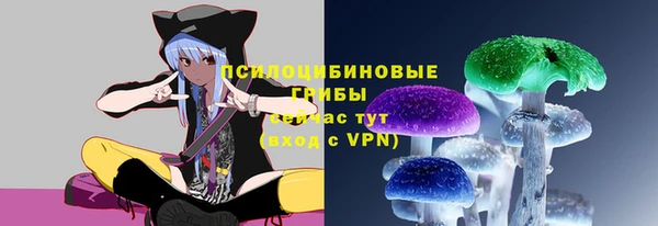дмт Абаза