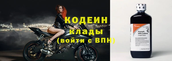 дмт Абаза