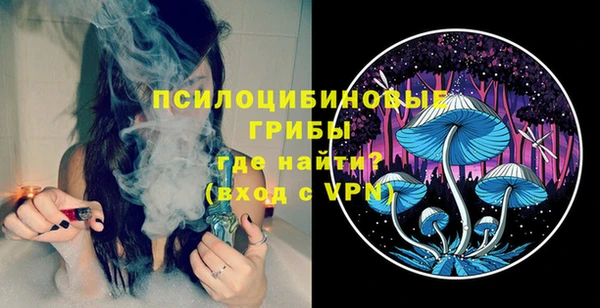 дмт Абаза