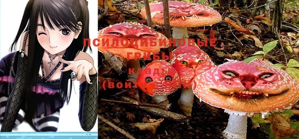 дурь Абинск