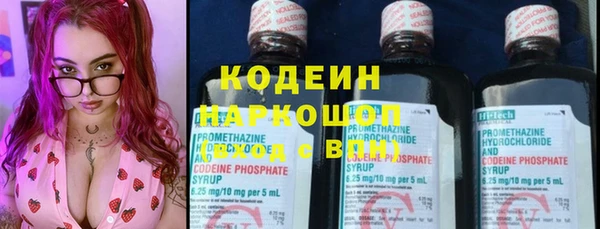 дмт Абаза