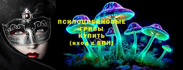дмт Абаза