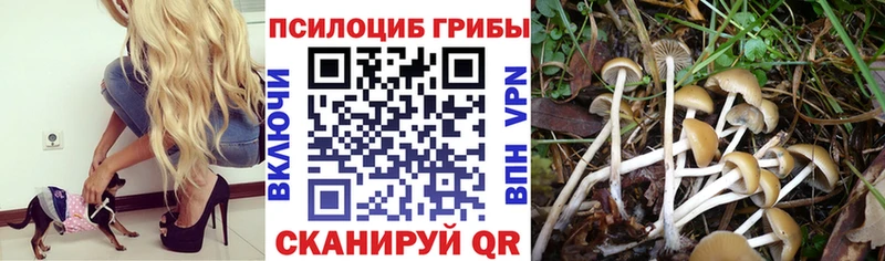 Галлюциногенные грибы прущие грибы МЕГА ссылка Щёкино